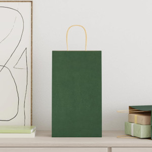 Bolsas de papel kraft con asas 250 uds verde 21x11x36 cm H