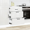 Mueble bajo de cocina Lucca blanca de alto brillo 3
