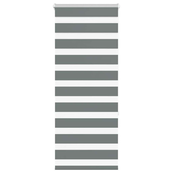 Estor cebra gris oscuro 60x150cm tejido ancho 55.9 cm poliéster D
