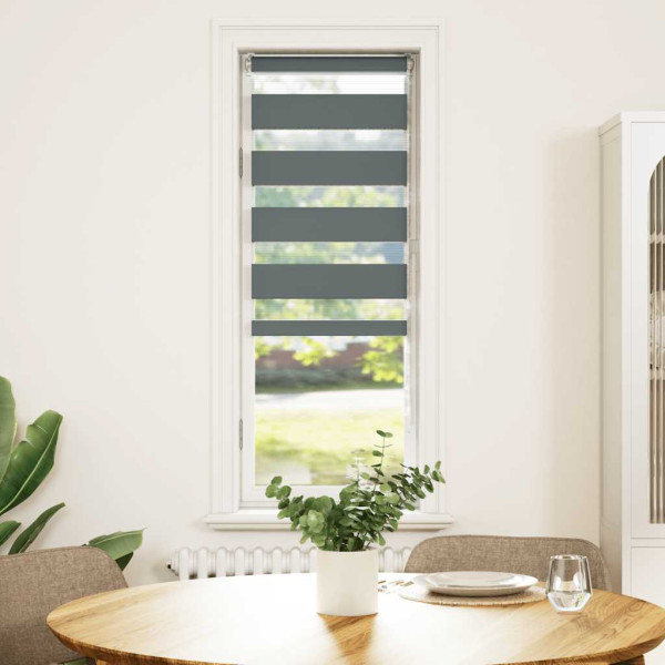 Estor cebra gris oscuro 40x100cm tejido ancho 35.9 cm poliéster M 2