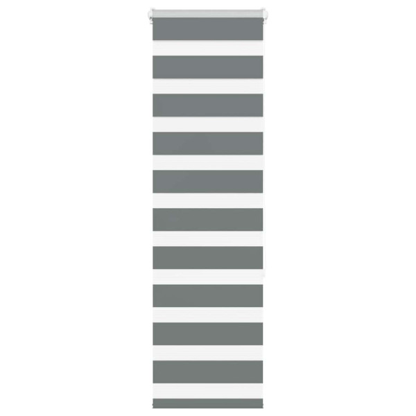 Estor cebra gris oscuro 50x150cm tejido ancho 45.9 cm poliéster D