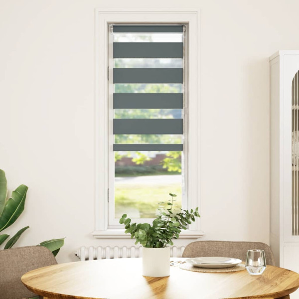 Estor cebra gris oscuro 50x150cm tejido ancho 45.9 cm poliéster M 2