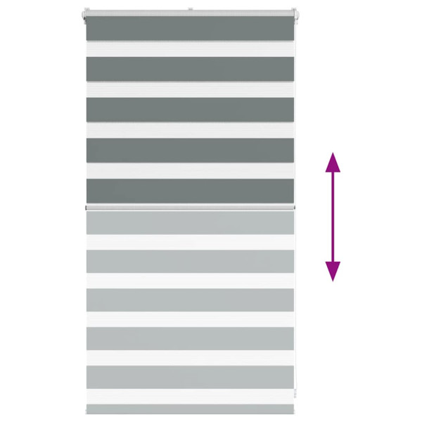 Estor cebra gris oscuro 75x100cm tejido ancho 70.9 cm poliéster M 5