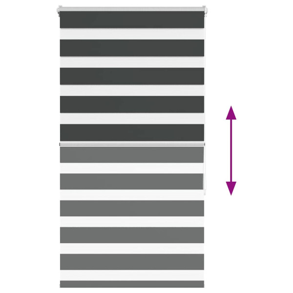 Estor cebra negro 80x150 cm tejido ancho 75.9 cm poliéster M 5