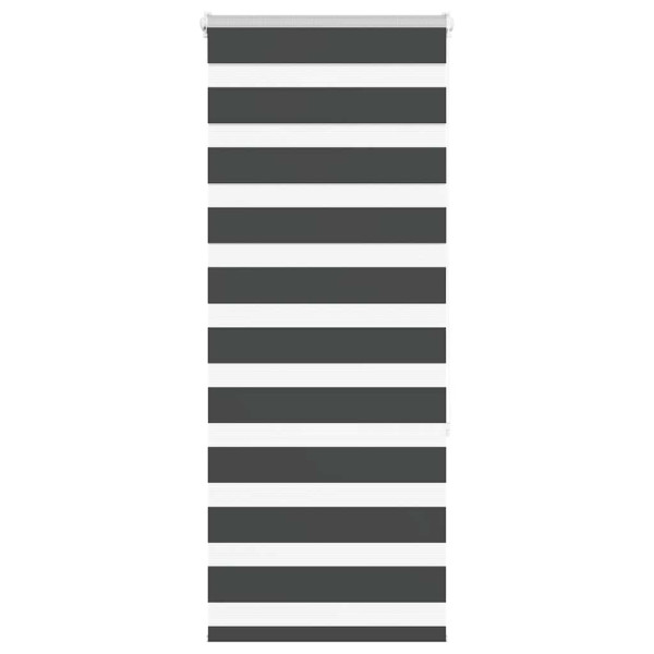 Estor cebra negro 60x150 cm tejido ancho 55.9 cm poliéster D