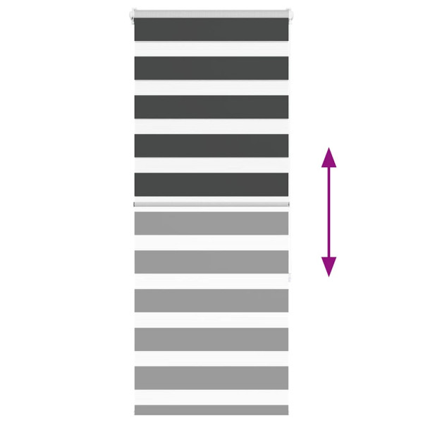 Estor cebra negro 60x150 cm tejido ancho 55.9 cm poliéster M 5