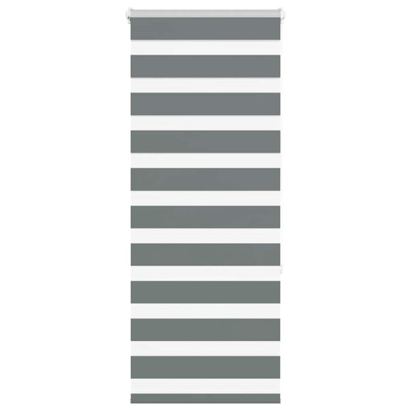 Estor cebra gris oscuro 65x150cm tejido ancho 60.9 cm poliéster D