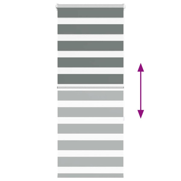 Estor cebra gris oscuro 65x150cm tejido ancho 60.9 cm poliéster M 5