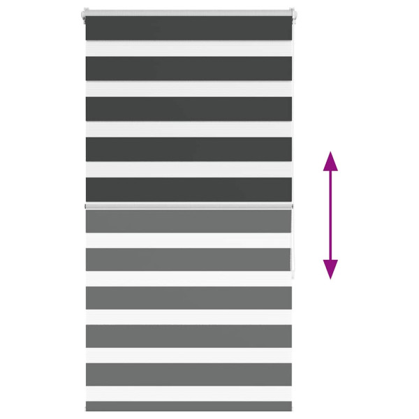 Estor cebra negro 70x150 cm tejido ancho 65.9 cm poliéster M 5