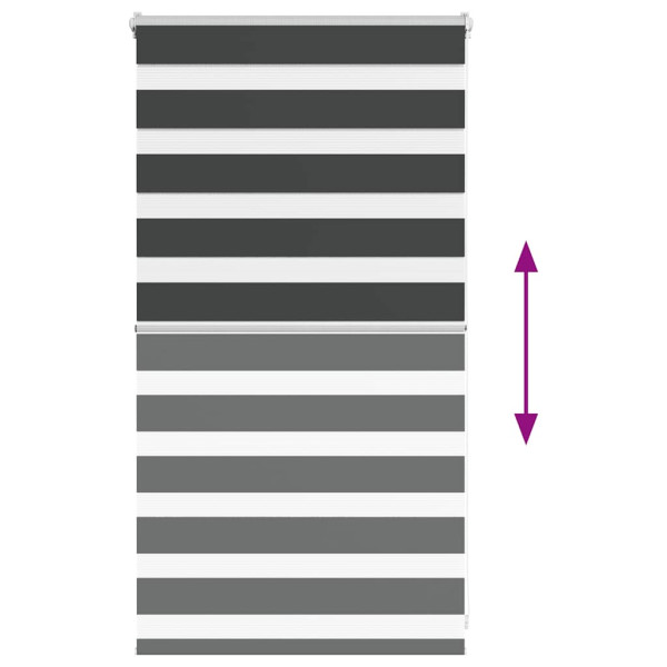 Estor cebra negro 70x100 cm tejido ancho 65.9 cm poliéster M 5