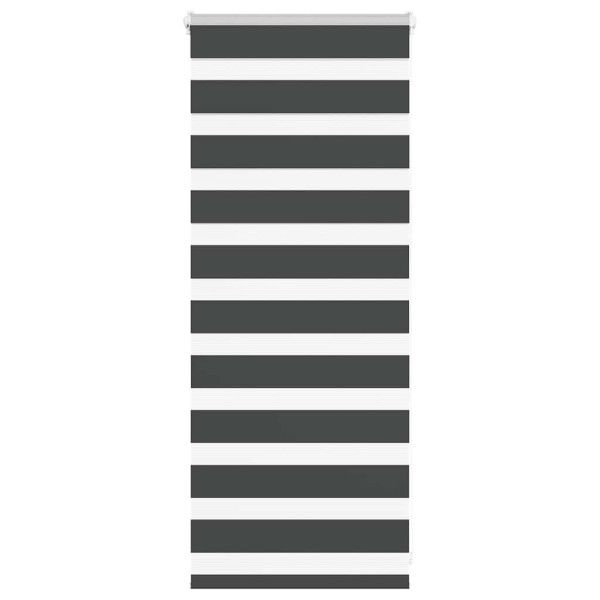 Estor cebra negro 60x100 cm tejido ancho 55.9 cm poliéster D