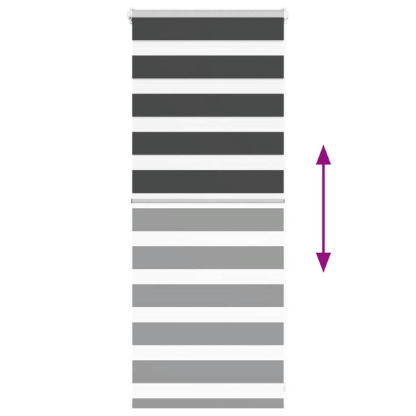 Estor cebra negro 60x100 cm tejido ancho 55.9 cm poliéster M 5