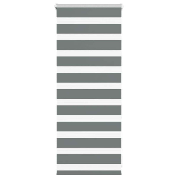 Estor cebra gris oscuro 55x100cm tejido ancho 50.9 cm poliéster D