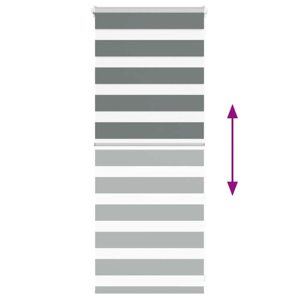 Estor cebra gris oscuro 55x100cm tejido ancho 50.9 cm poliéster M 5