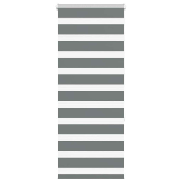 Estor cebra gris oscuro 55x150cm tejido ancho 50.9 cm poliéster D