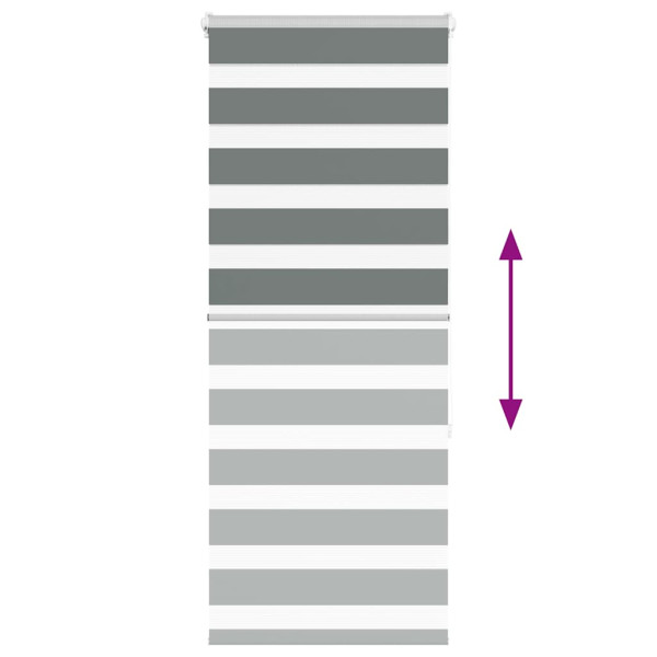 Estor cebra gris oscuro 55x150cm tejido ancho 50.9 cm poliéster M 5