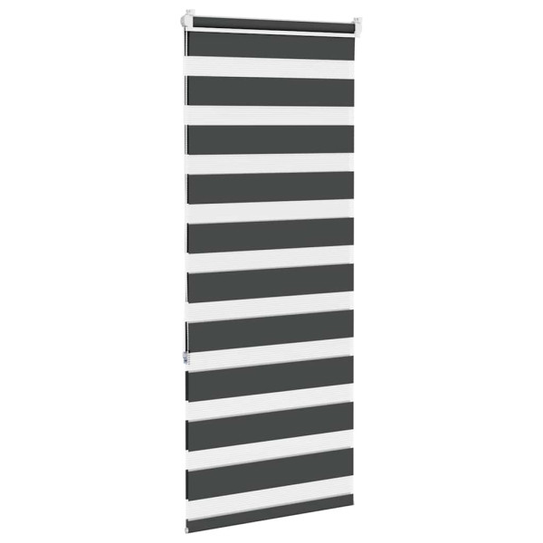 Estor cebra negro 55x150 cm tejido ancho 50.9 cm poliéster M 4