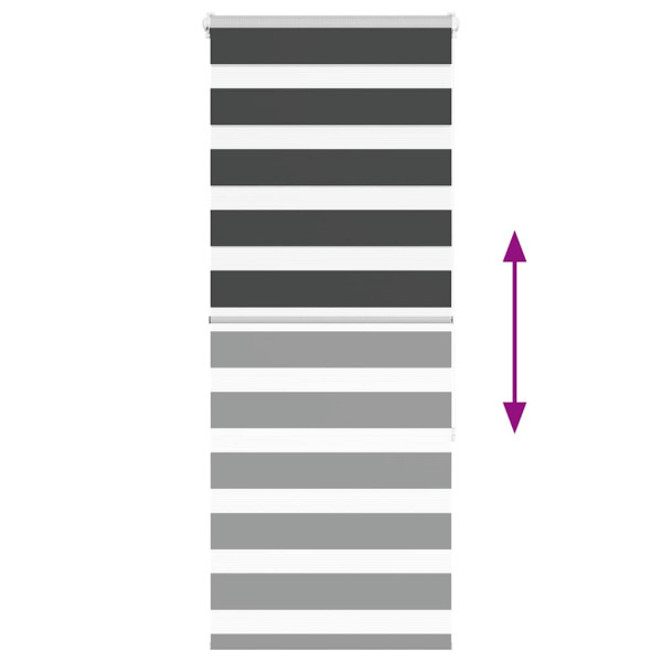 Estor cebra negro 55x150 cm tejido ancho 50.9 cm poliéster M 5