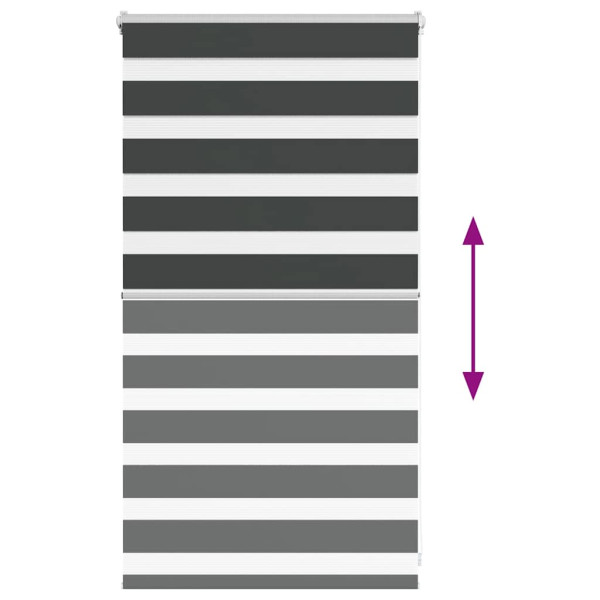 Estor cebra negro 80x100 cm tejido ancho 75.9 cm poliéster M 5