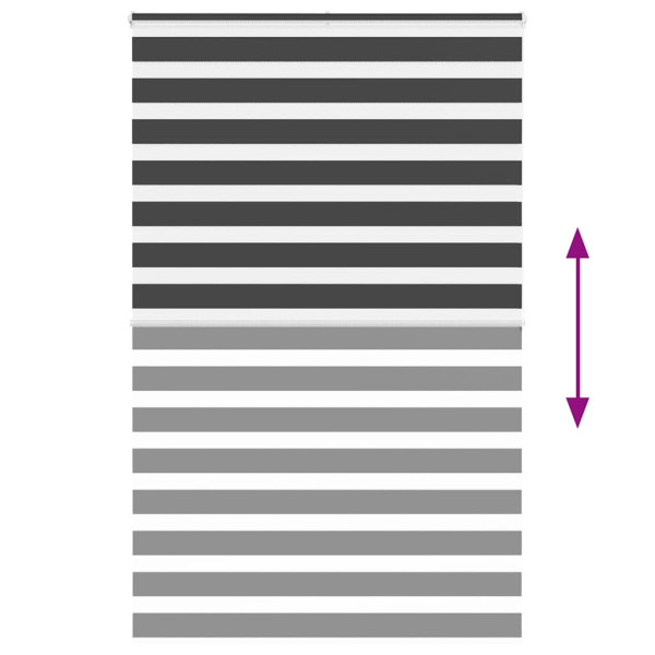 Estor cebra negro 145x200 cm tejido ancho 140.9 cm poliéster M 5