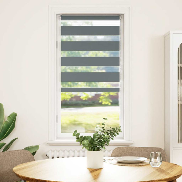 Estor cebra gris oscuro 60x100cm tejido ancho 55.9 cm poliéster M 2