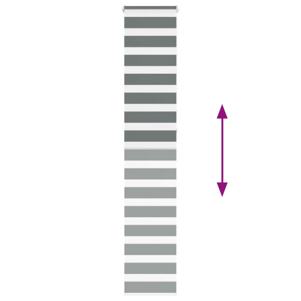 Estor cebra gris oscuro 50x230cm tejido ancho 45.9 cm poliéster M 5