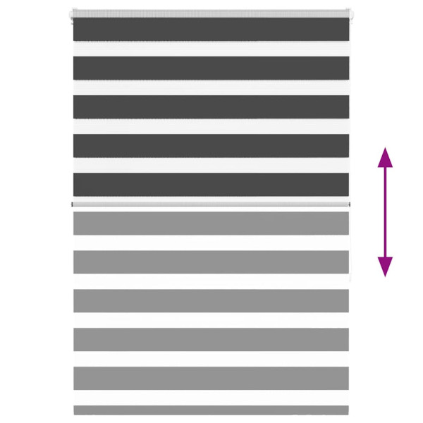 Cortina de zebra 100x150 cm largura do tecido 95.9 cm poliéster M 5