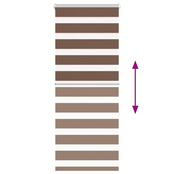 Estor cebra marrón 55x150 cm tejido ancho 50.9 cm poliéster M 5