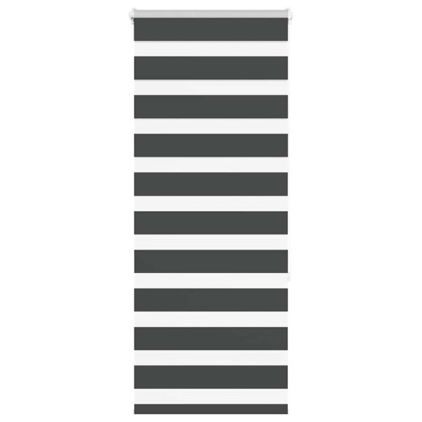 Estor cebra negro 65x150 cm tejido ancho 60.9 cm poliéster D