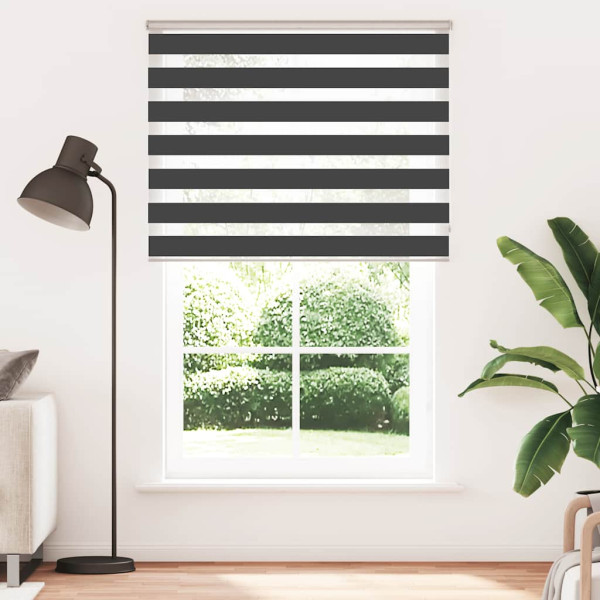Estor cebra negro 150x230 cm tejido ancho 145.9 cm poliéster M 2