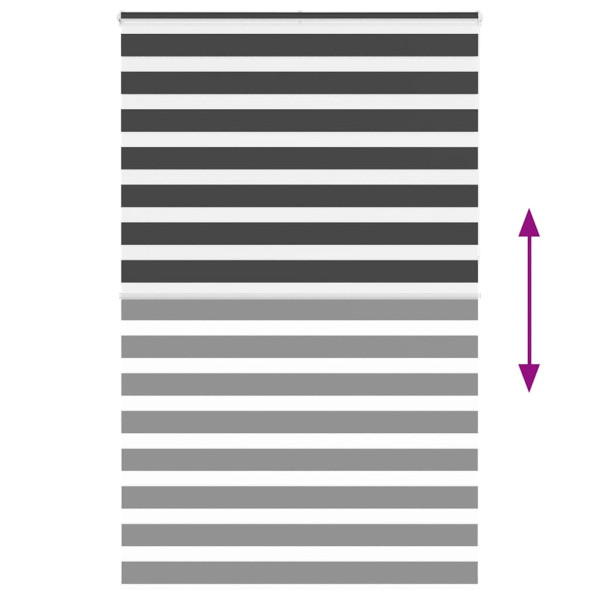 Estor cebra negro 150x230 cm tejido ancho 145.9 cm poliéster M 5