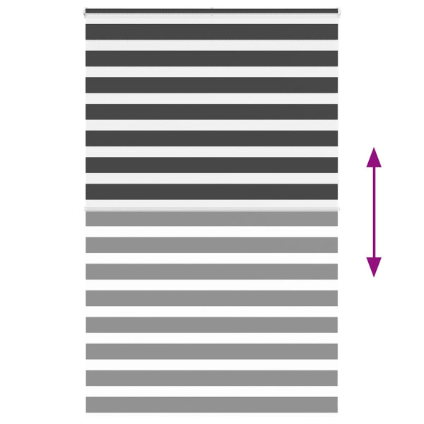 Estor cebra negro 140x230 cm tejido ancho 135.9 cm poliéster M 5