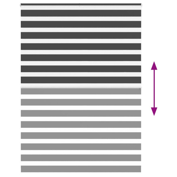 Estor cebra negro 160x200 cm tejido ancho 155.9 cm poliéster M 5