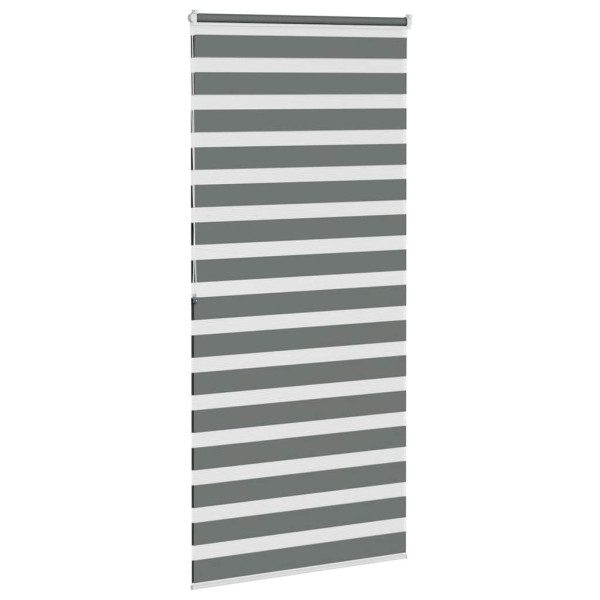 Estor cebra gris oscuro 100x200cm tejido ancho 95.9cm poliéster M 4