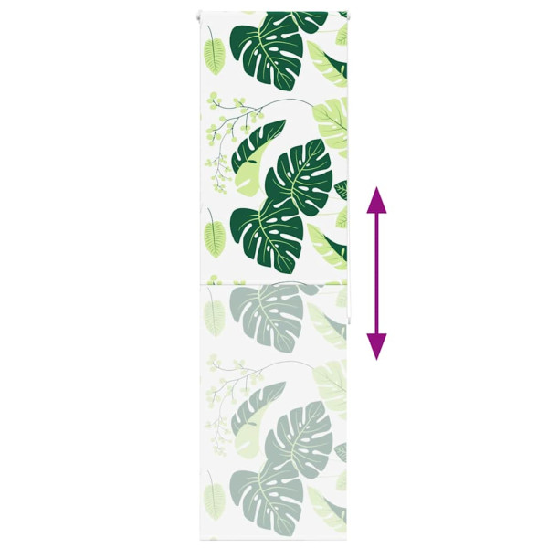 Rolo de Duche Estores 70x240 cm Largura Tecido 66 cm M 5