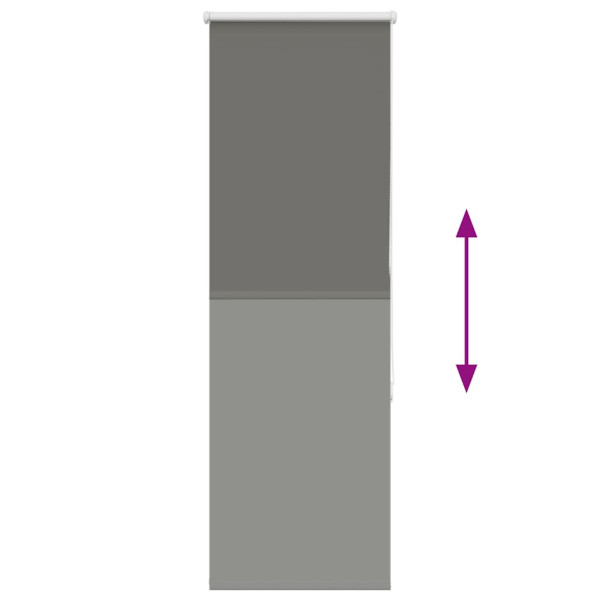 Estor Enrollable Opaco gris 55x150 cm Tela Ancho 50.7 cm M 5