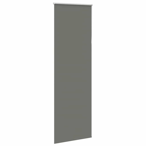 Estor Enrollable Opaco gris 70x230 cm Tela Ancho 65.7 cm M 3