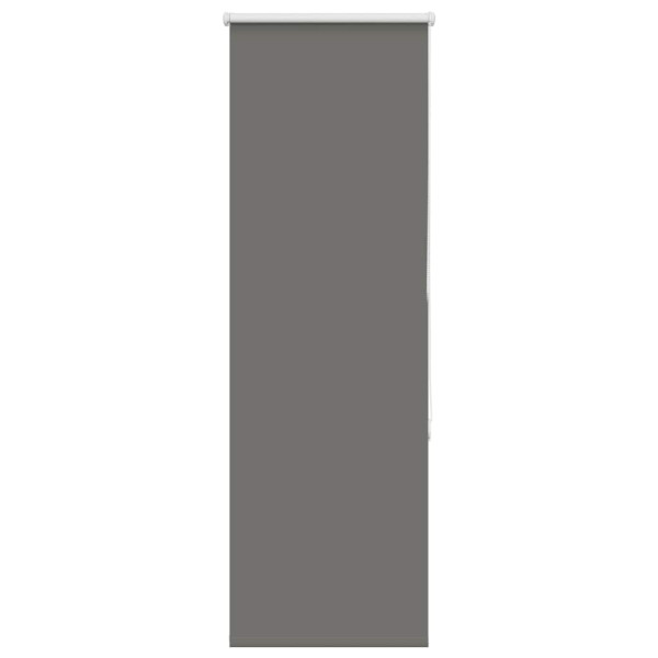 Estor Enrollable Opaco gris 50x130 cm Tela Ancho 45.7 cm M 2