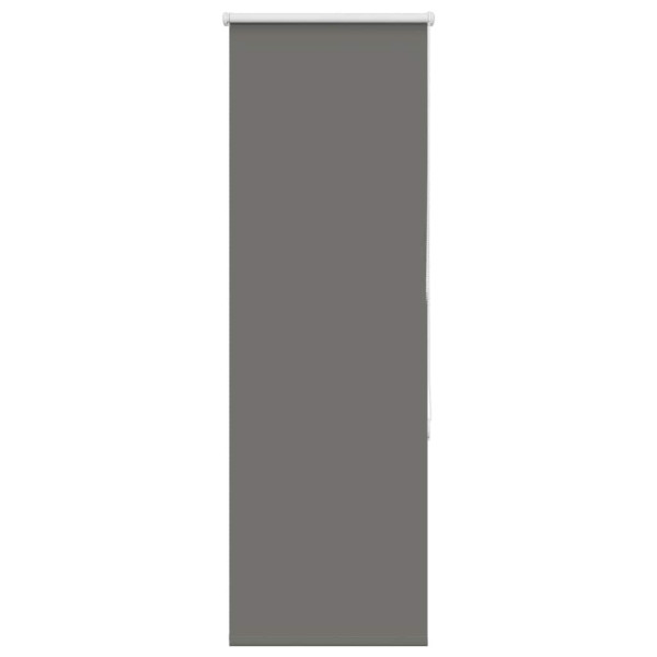 Persiana de enrolar 60x150 cm largura tecido 55.7 cm poliéster M 2