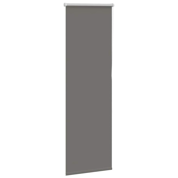 Estor Enrollable Opaco gris 45x175 cm Tela Ancho 40.7 cm M 3