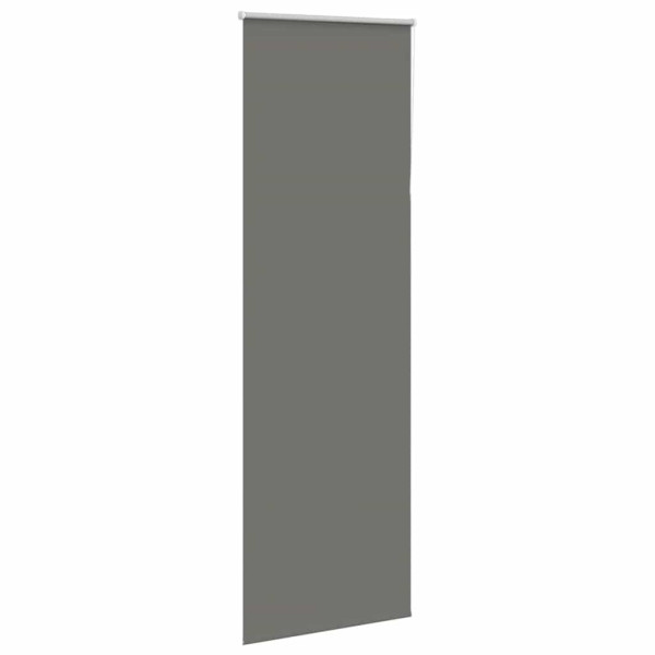 Estor Enrollable Opaco gris 70x210 cm Tela Ancho 65.7 cm M 3