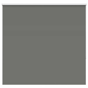 Estor Enrollable Opaco gris 145x150 cm Tela Ancho 141.6 cm H