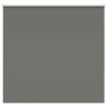 Estor Enrollable Opaco gris 155x130 cm Tela Ancho 151.6 cm 2