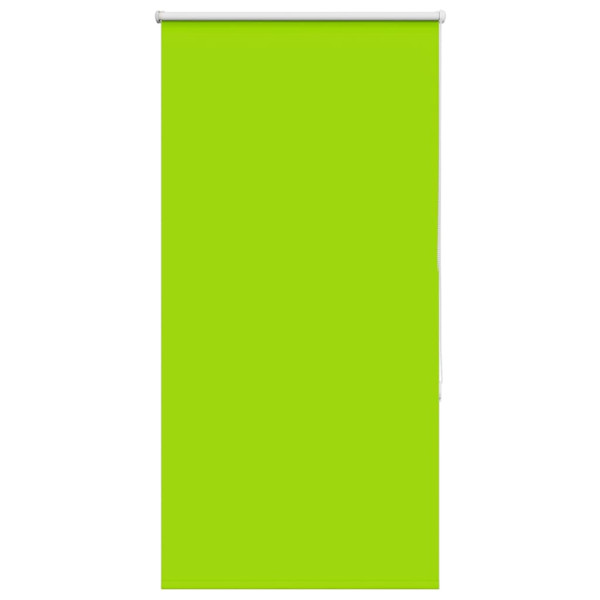 Estor Enrollable Opaco hojas verde 80x150 cm Tela Ancho 75.7 cm D