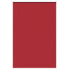Estor Enrollable Opaco Rojo 165x230 cm Tela Ancho 161.6 cm 2