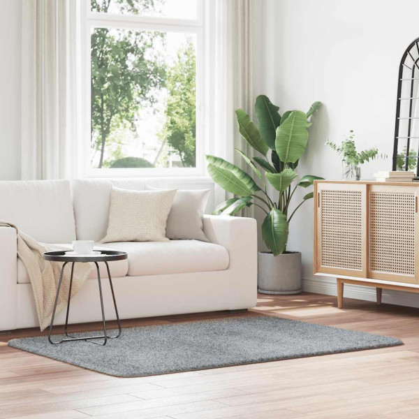 Alfombra peluda de pelo largo NAVARRA gris plateado 120x170 cm D