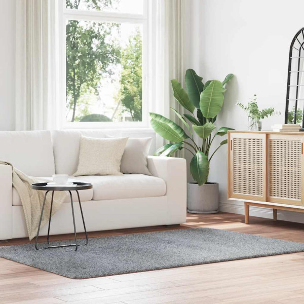 Alfombra de pelo largo NAVARRA gris plateado 130x200 cm D