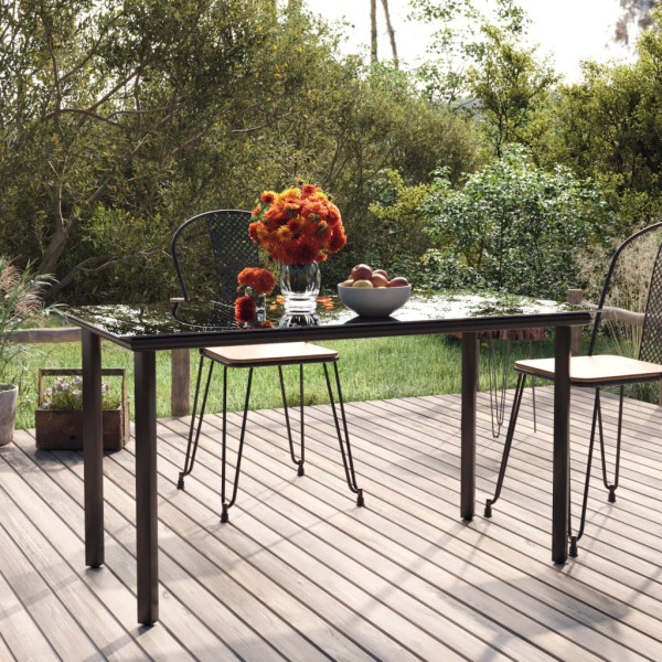 Mesa comedor jardín acero y vidrio templado negro 200x100x74 cm D