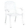 Cadeiras de Jardim  2 pcs Alumínio Fundido Branco 3