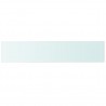 Prateleiras 2 pcs 100x20 cm vidro transparente 3